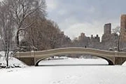Trêve hivernale :...