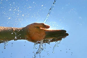 Environnement :...
