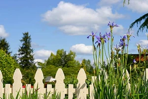 Plantations sur le...