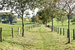 Et si votre terrain...