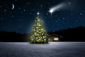Vacances de Noël :...