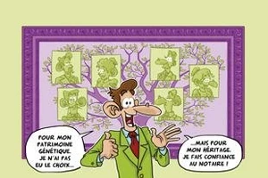 Comprendre les...