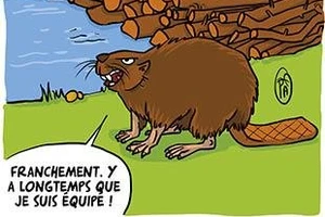 L'abécédaire des...