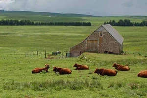 Les monts du...