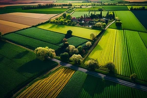 Évitez les pièges...