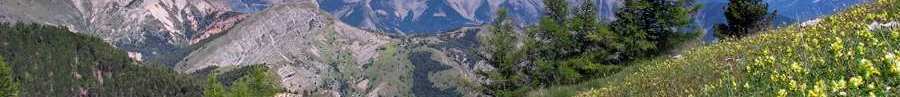 L'immobilier des notaires : Provence-Alpes-Côte d'Azur