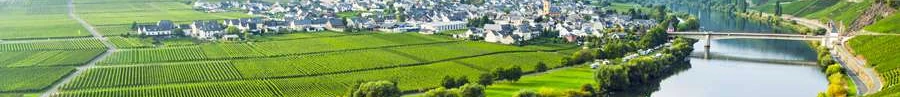 L'immobilier des notaires : Moselle