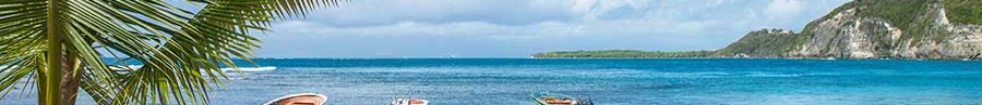 L'immobilier des notaires : Guadeloupe