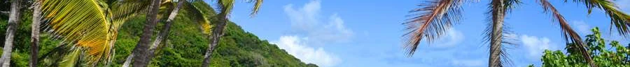 L'immobilier des notaires : Guyane